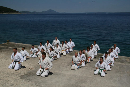 Shorinji Kempo Techniques Pdf 16 Shorinji Kempo Techniques Pdf 16